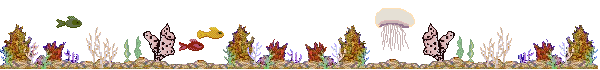 reef